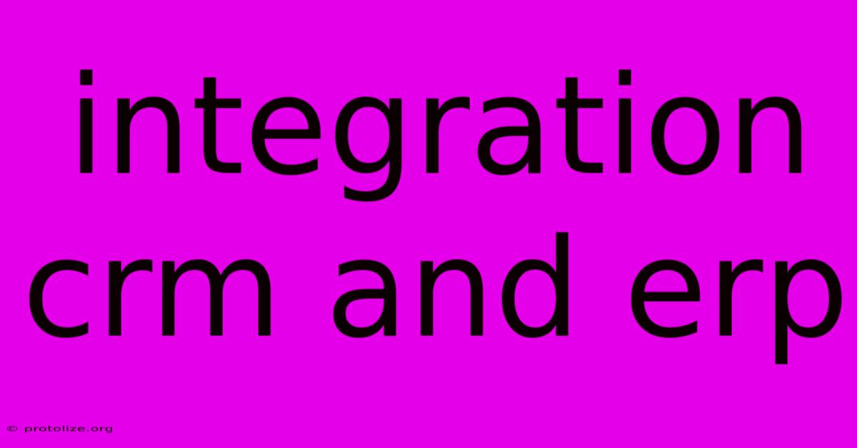 Integration Crm And Erp