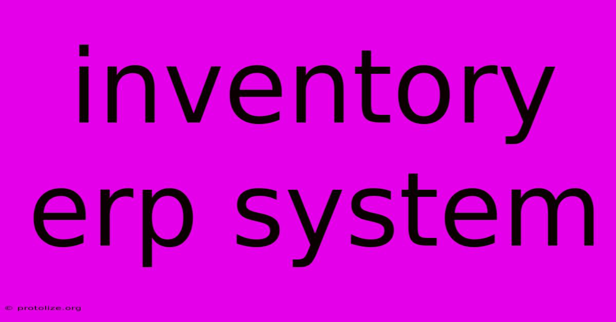 Inventory Erp System