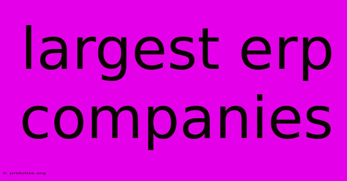 Largest Erp Companies Largest Erp Companies