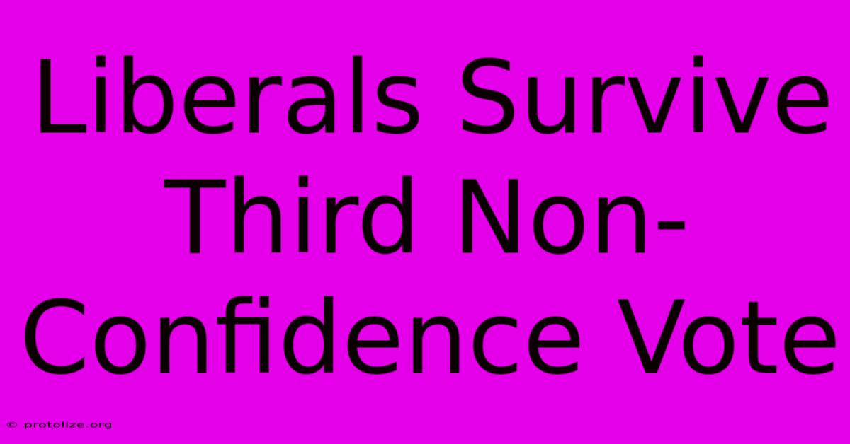 Liberals Survive Third Non-Confidence Vote