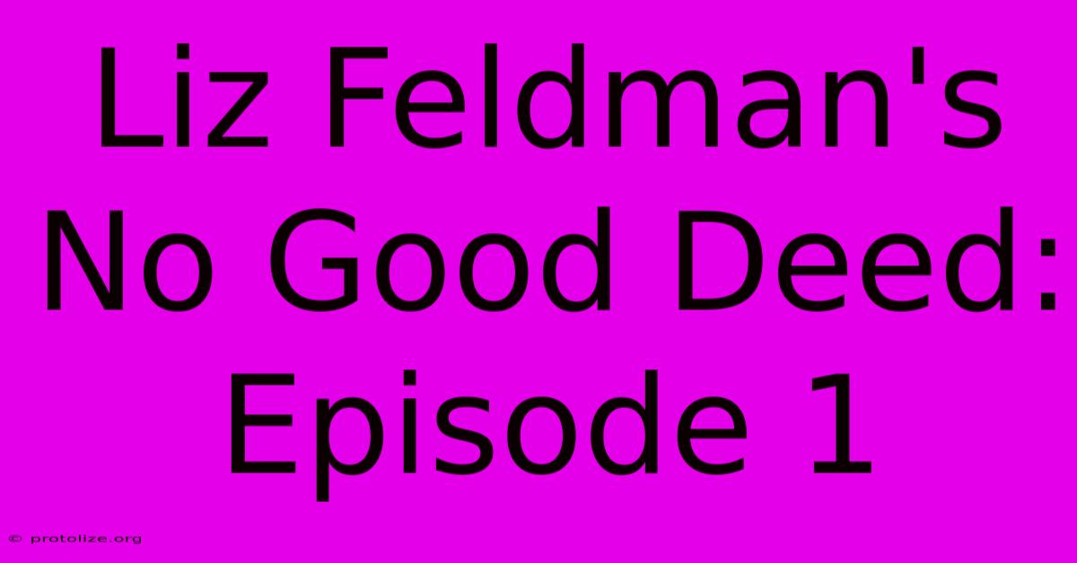 Liz Feldman's No Good Deed: Episode 1 Liz Feldman's No Good Deed: Episode 1