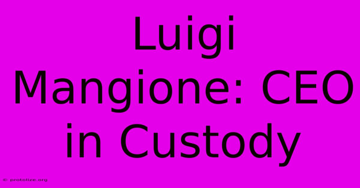 Luigi Mangione: CEO In Custody