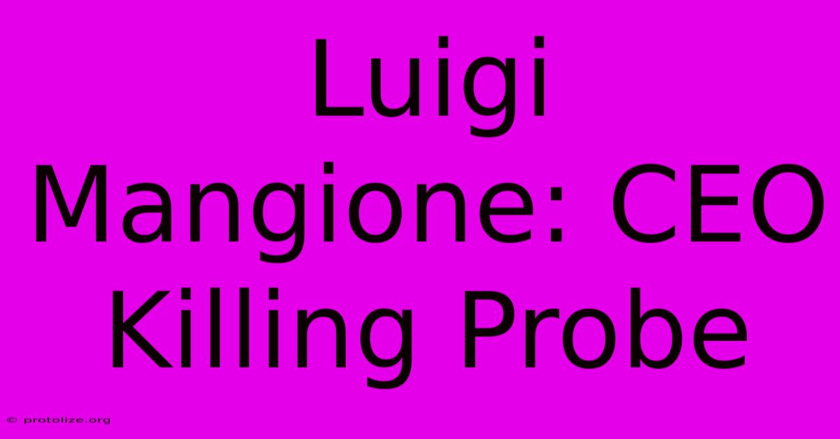 Luigi Mangione: CEO Killing Probe