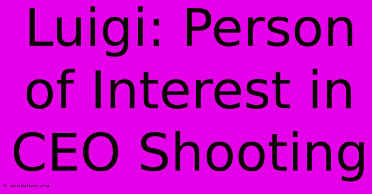 Luigi: Person Of Interest In CEO Shooting