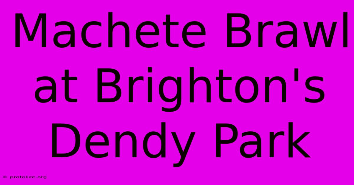 Machete Brawl At Brighton's Dendy Park Machete Brawl At Brighton's Dendy Park