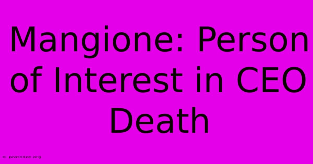 Mangione: Person Of Interest In CEO Death