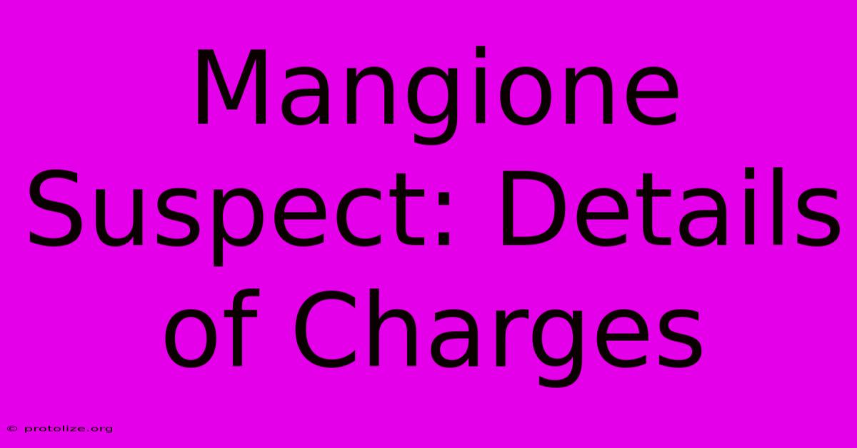 Mangione Suspect: Details Of Charges