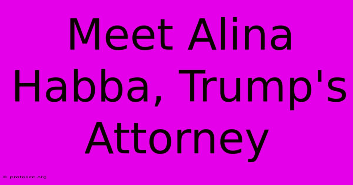 Meet Alina Habba, Trump's Attorney