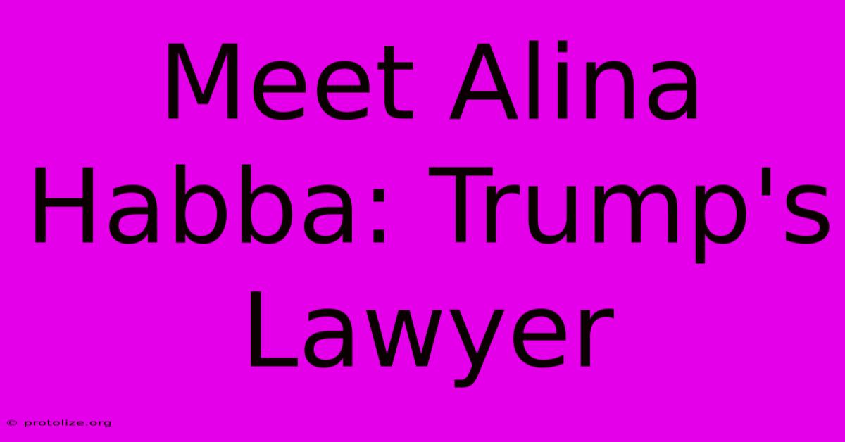 Meet Alina Habba: Trump's Lawyer