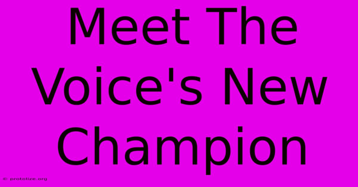 Meet The Voice's New Champion Meet The Voice's New Champion