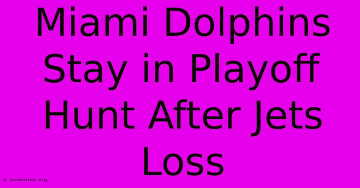 Miami Dolphins Stay In Playoff Hunt After Jets Loss Miami Dolphins Stay In Playoff Hunt After Jets Loss