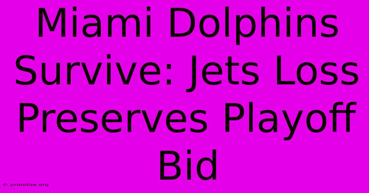 Miami Dolphins Survive: Jets Loss Preserves Playoff Bid Miami Dolphins Survive: Jets Loss Preserves Playoff Bid