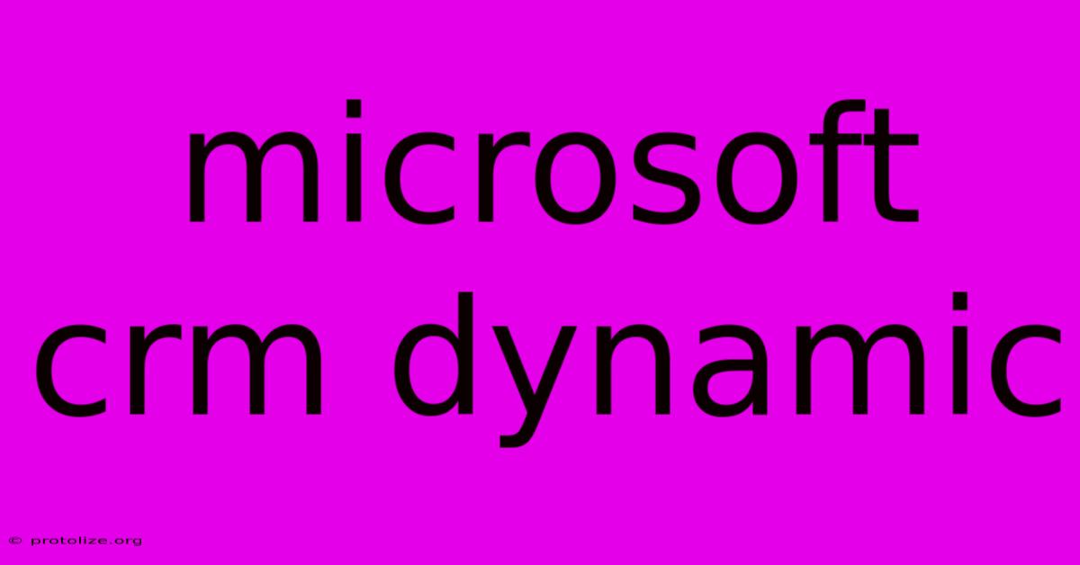 Microsoft Crm Dynamic