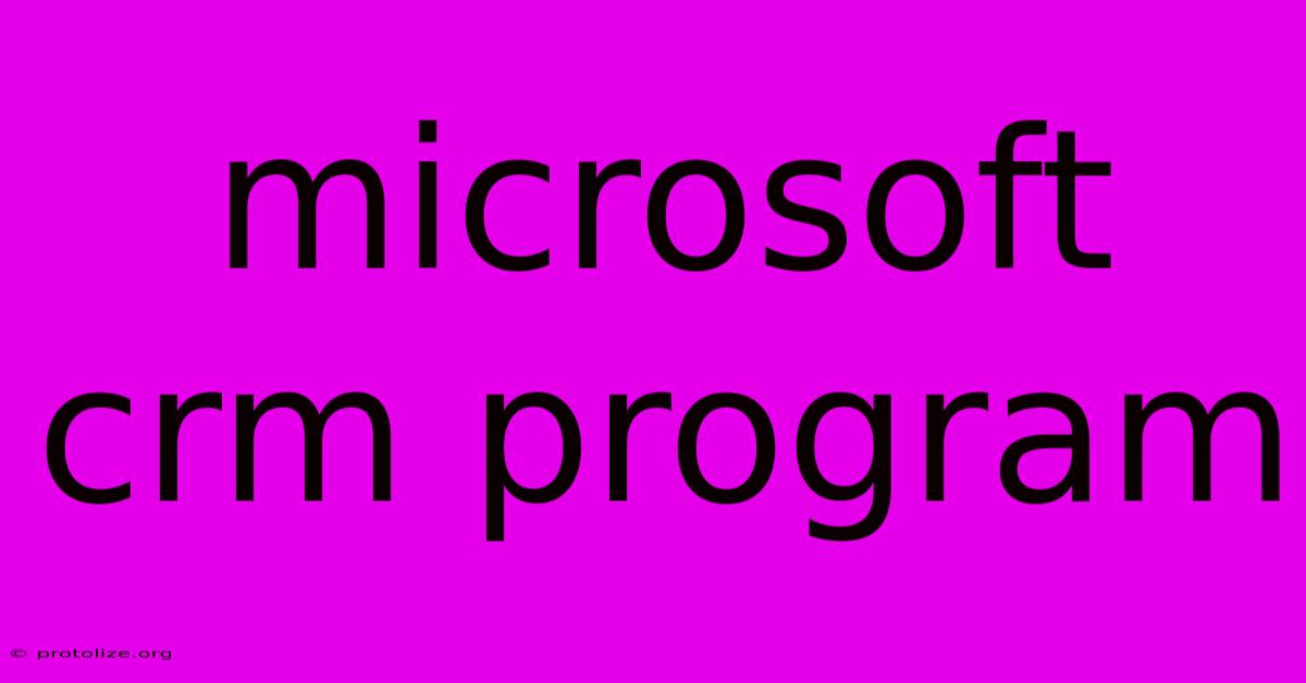 Microsoft Crm Program