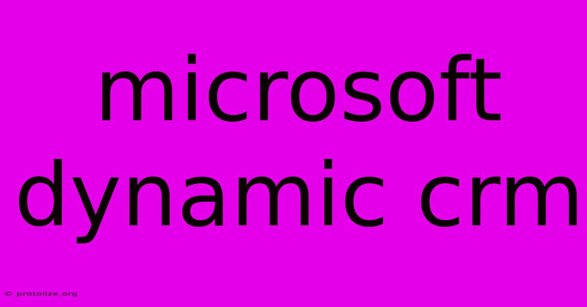 Microsoft Dynamic Crm Microsoft Dynamic Crm