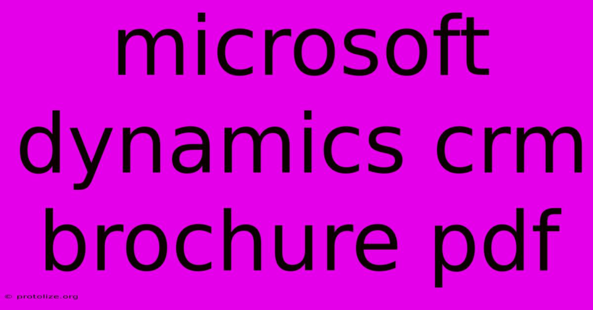 Microsoft Dynamics Crm Brochure Pdf