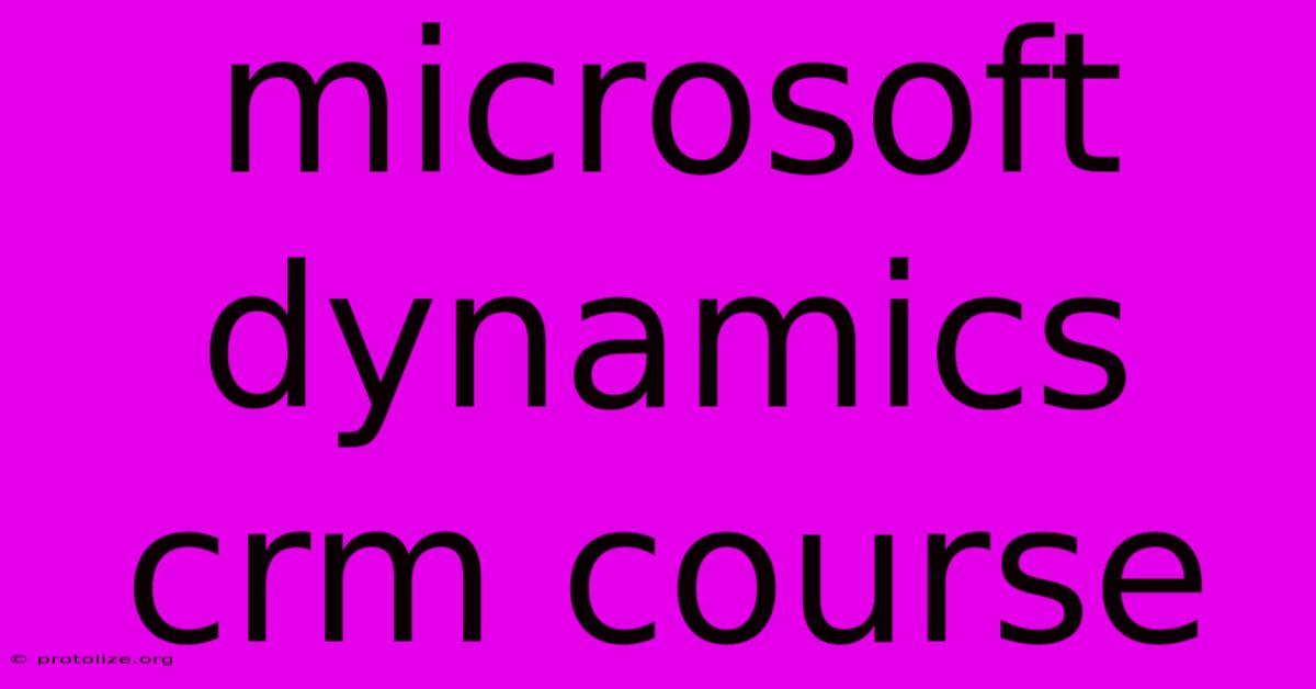 Microsoft Dynamics Crm Course