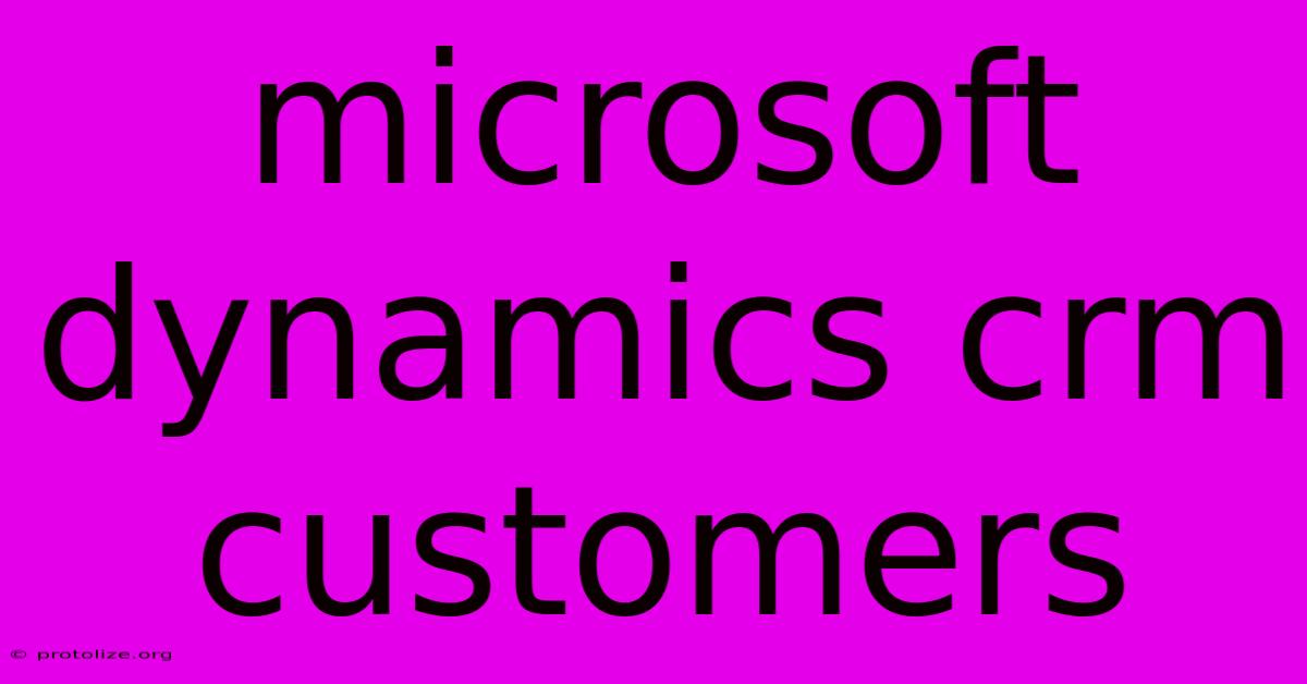 Microsoft Dynamics Crm Customers