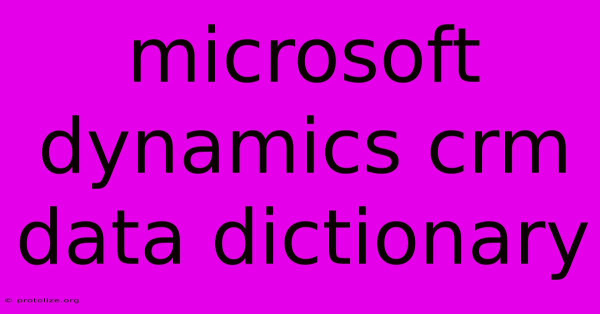 Microsoft Dynamics Crm Data Dictionary