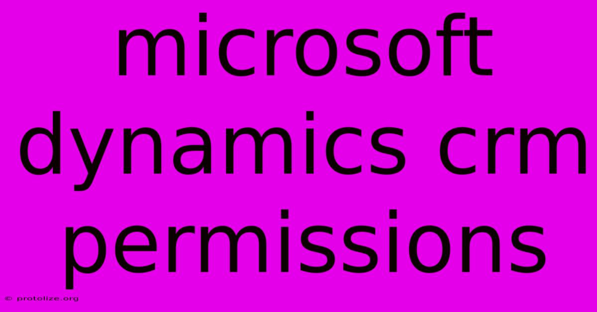 Microsoft Dynamics Crm Permissions