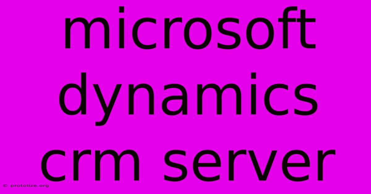 Microsoft Dynamics Crm Server