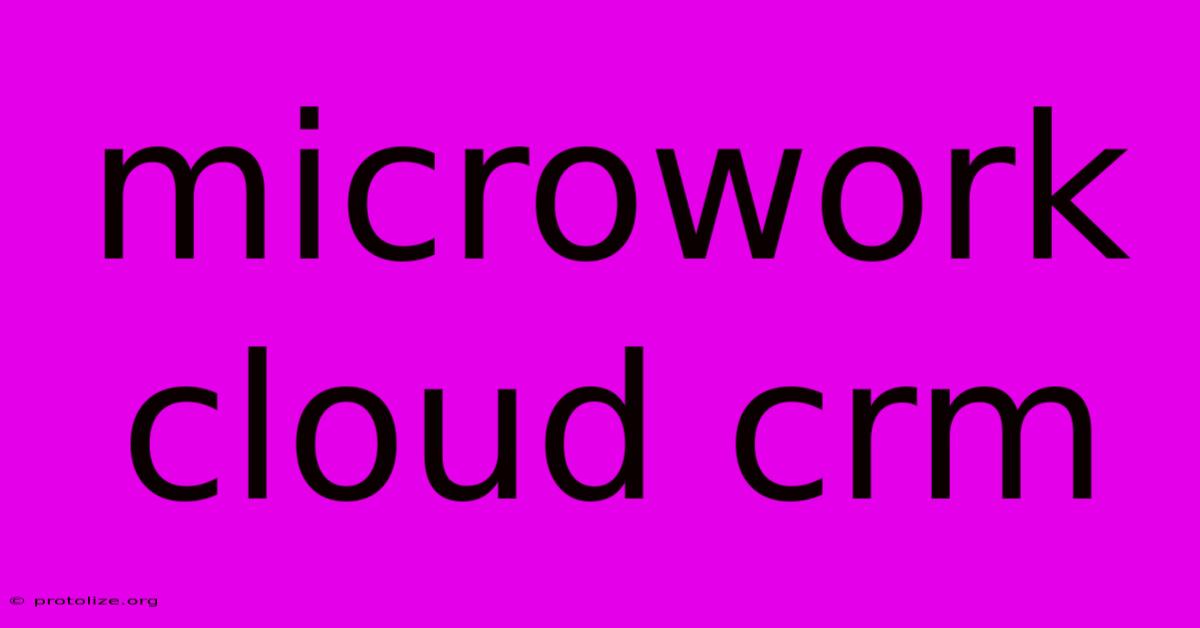 Microwork Cloud Crm