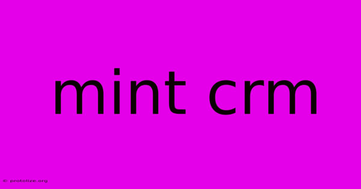 Mint Crm Mint Crm