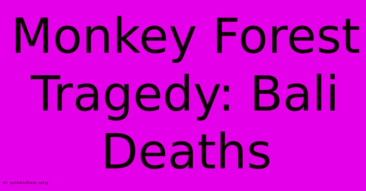 Monkey Forest Tragedy: Bali Deaths Monkey Forest Tragedy: Bali Deaths
