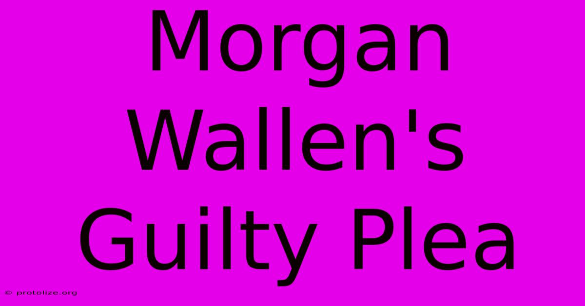 Morgan Wallen's Guilty Plea Morgan Wallen's Guilty Plea