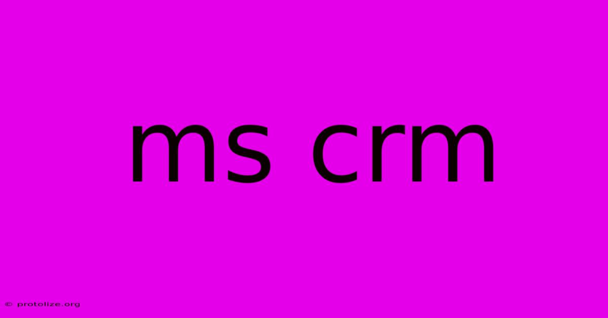 Ms Crm