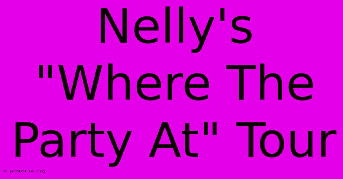 Nelly's 