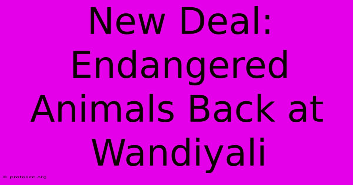 New Deal: Endangered Animals Back At Wandiyali New Deal: Endangered Animals Back At Wandiyali