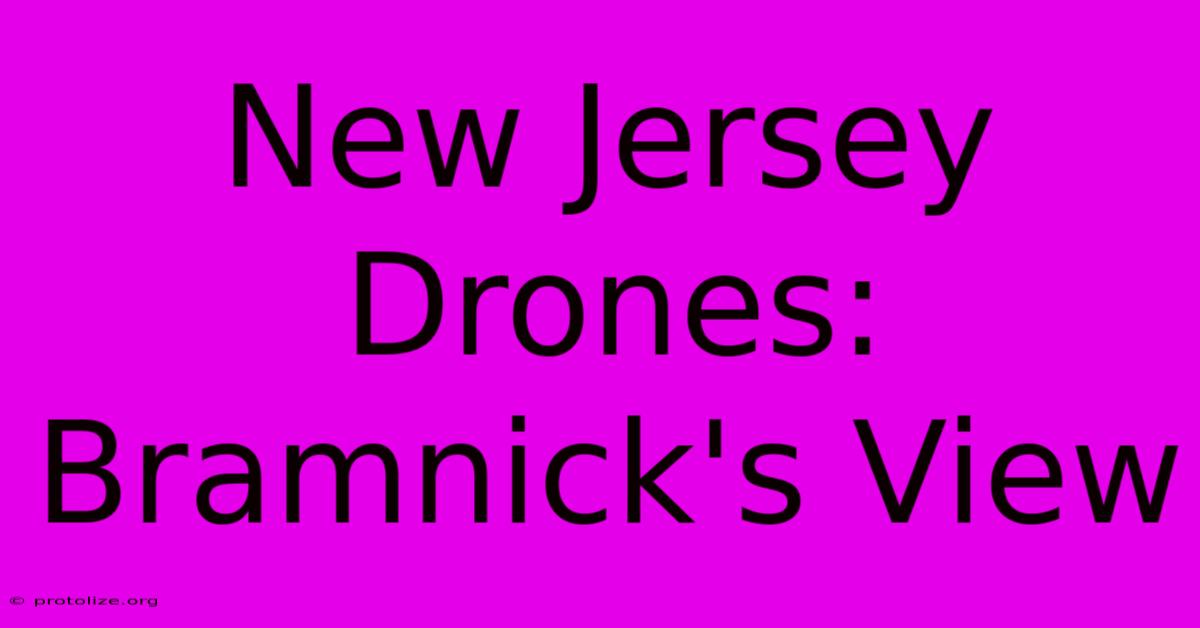 New Jersey Drones: Bramnick's View New Jersey Drones: Bramnick's View