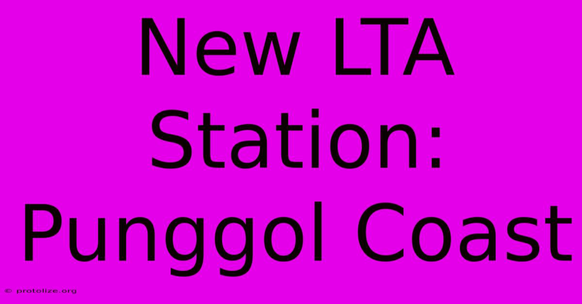 New LTA Station: Punggol Coast