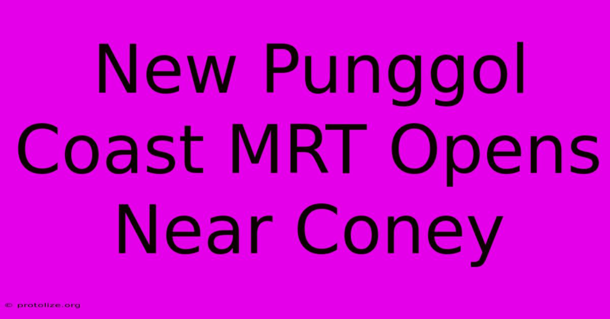 New Punggol Coast MRT Opens Near Coney