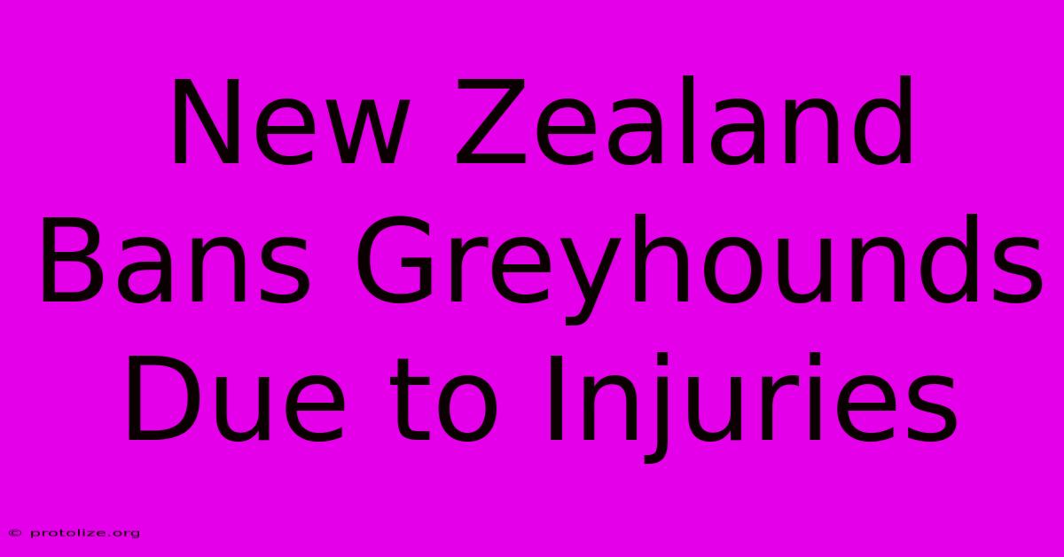 New Zealand Bans Greyhounds Due To Injuries