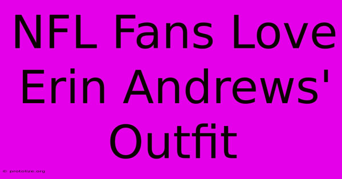 NFL Fans Love Erin Andrews' Outfit NFL Fans Love Erin Andrews' Outfit
