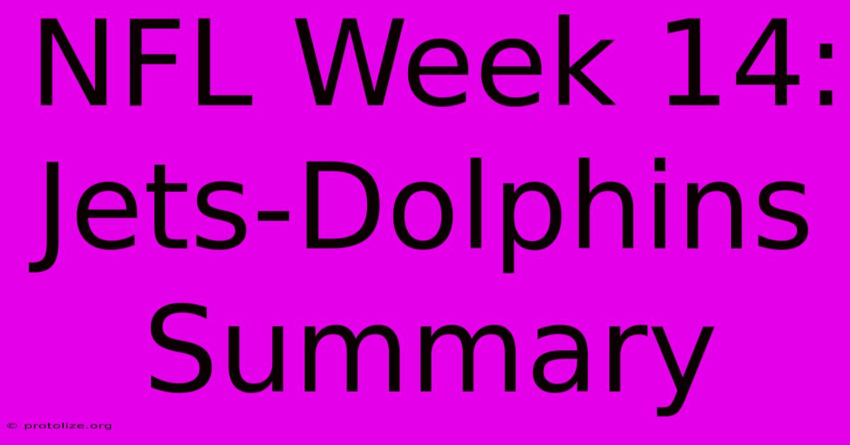 NFL Week 14: Jets-Dolphins Summary NFL Week 14: Jets-Dolphins Summary