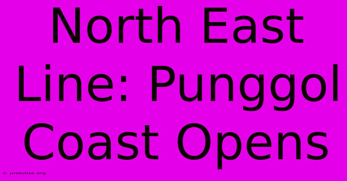 North East Line: Punggol Coast Opens