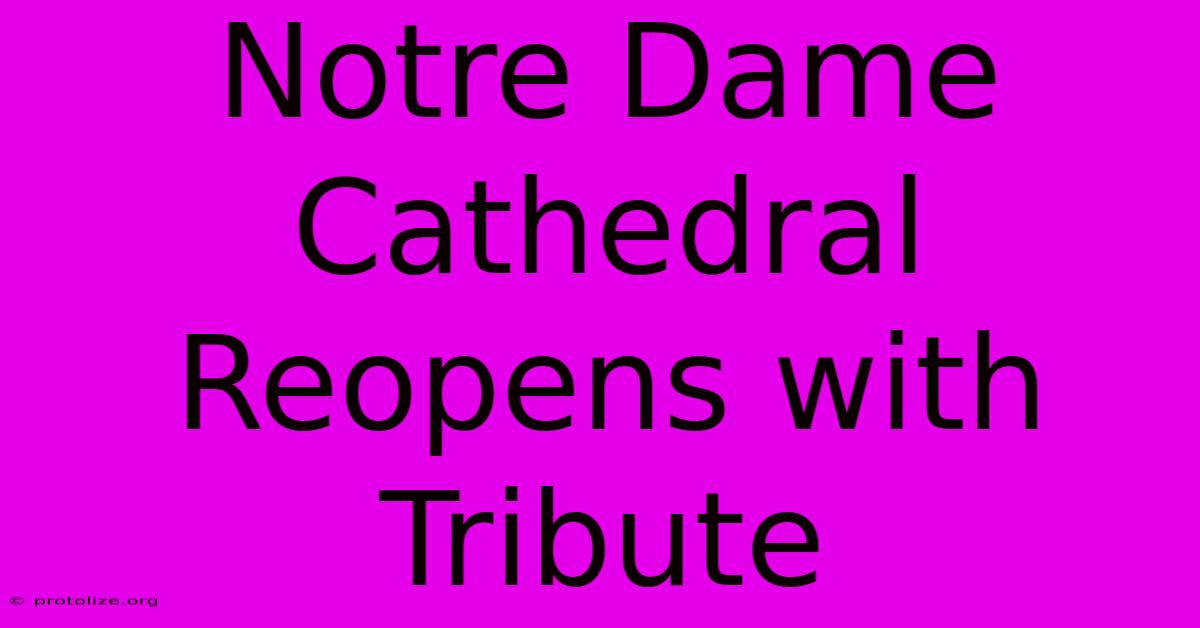 Notre Dame Cathedral Reopens With Tribute Notre Dame Cathedral Reopens With Tribute