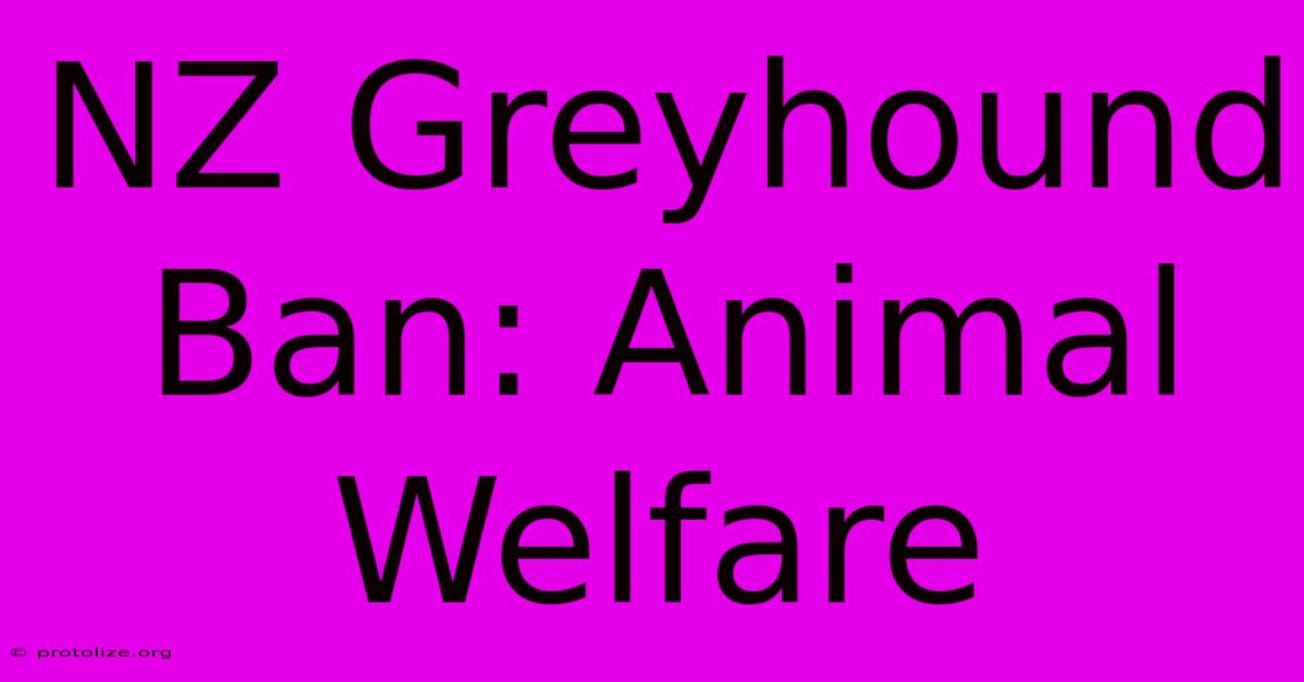 NZ Greyhound Ban: Animal Welfare