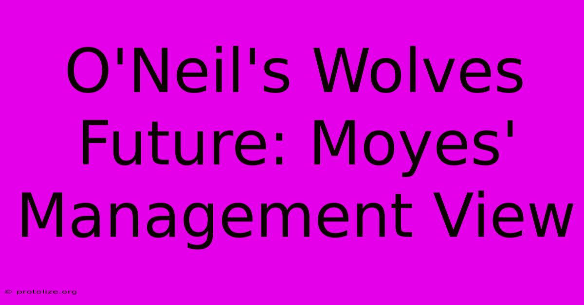 O'Neil's Wolves Future: Moyes' Management View