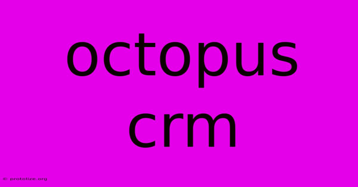 Octopus Crm Octopus Crm