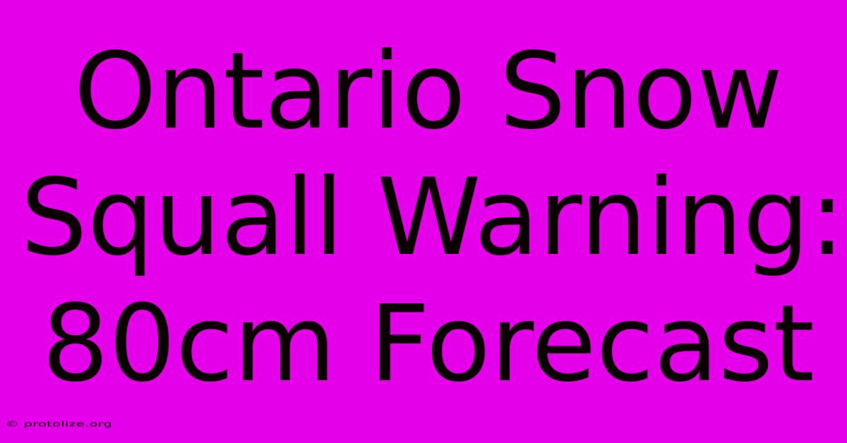 Ontario Snow Squall Warning: 80cm Forecast