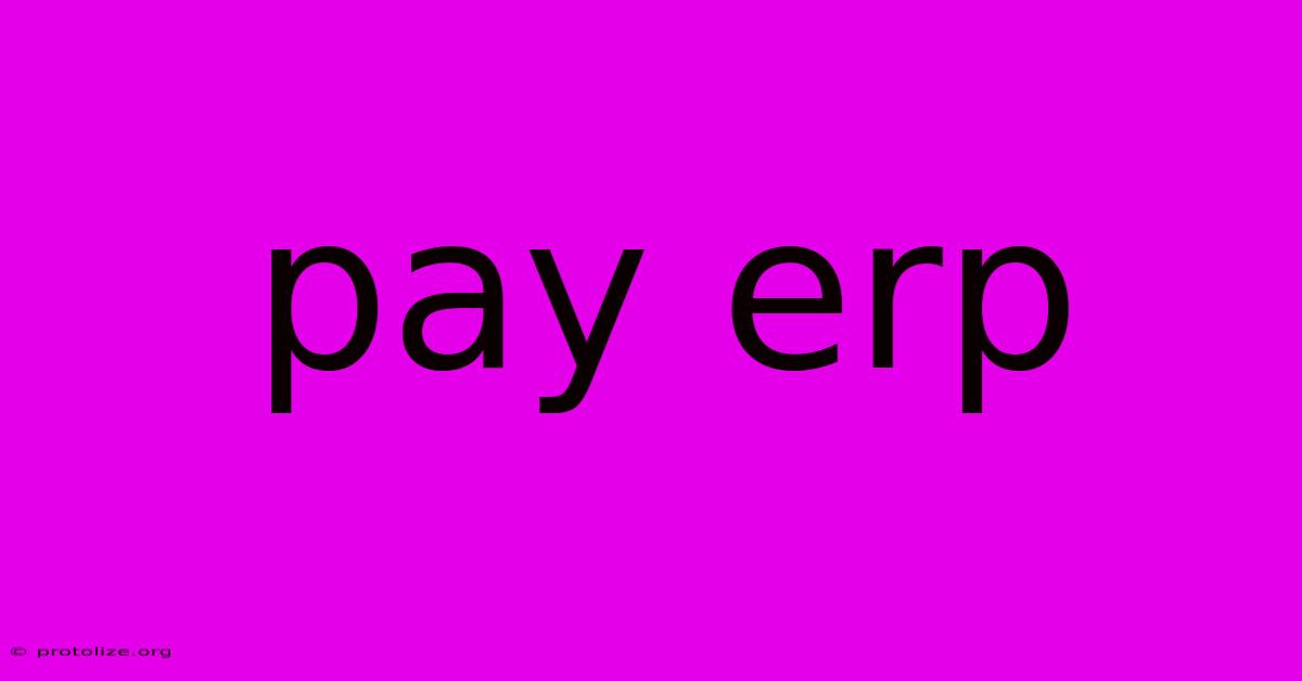 Pay Erp