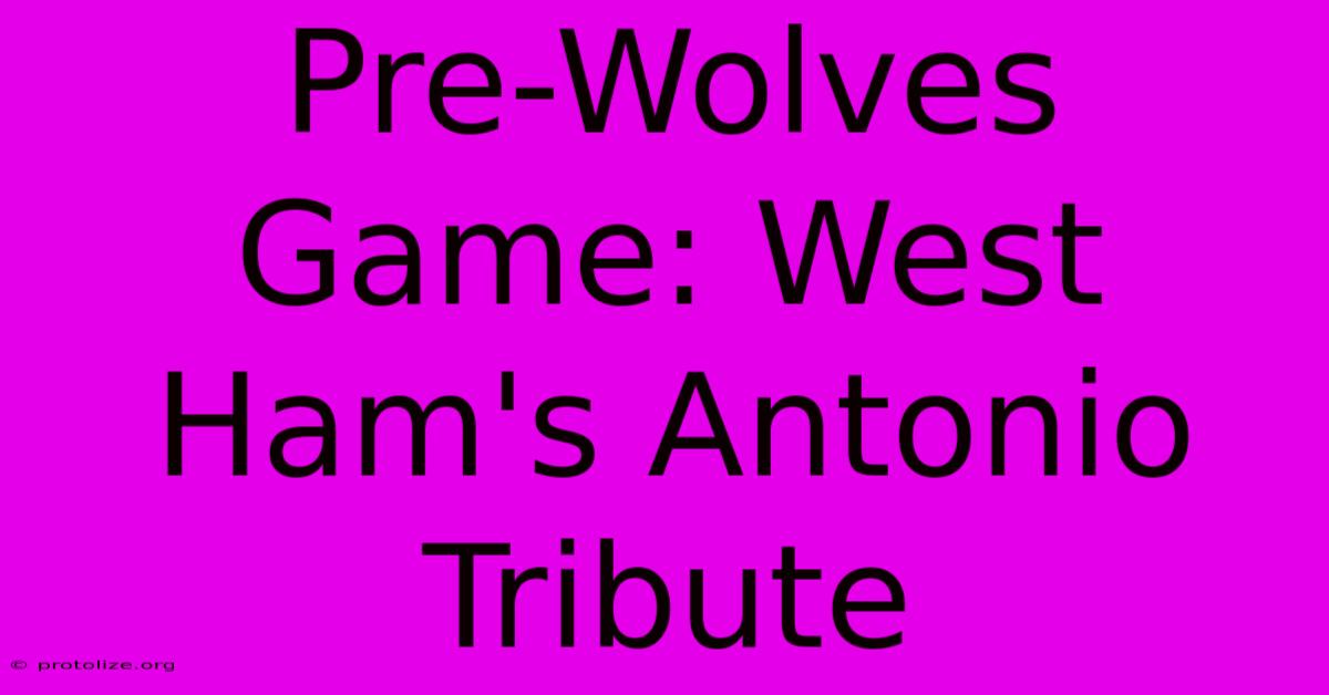 Pre-Wolves Game: West Ham's Antonio Tribute