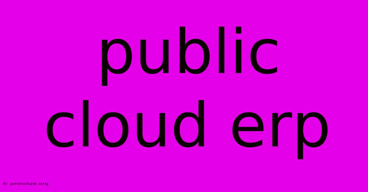 Public Cloud Erp