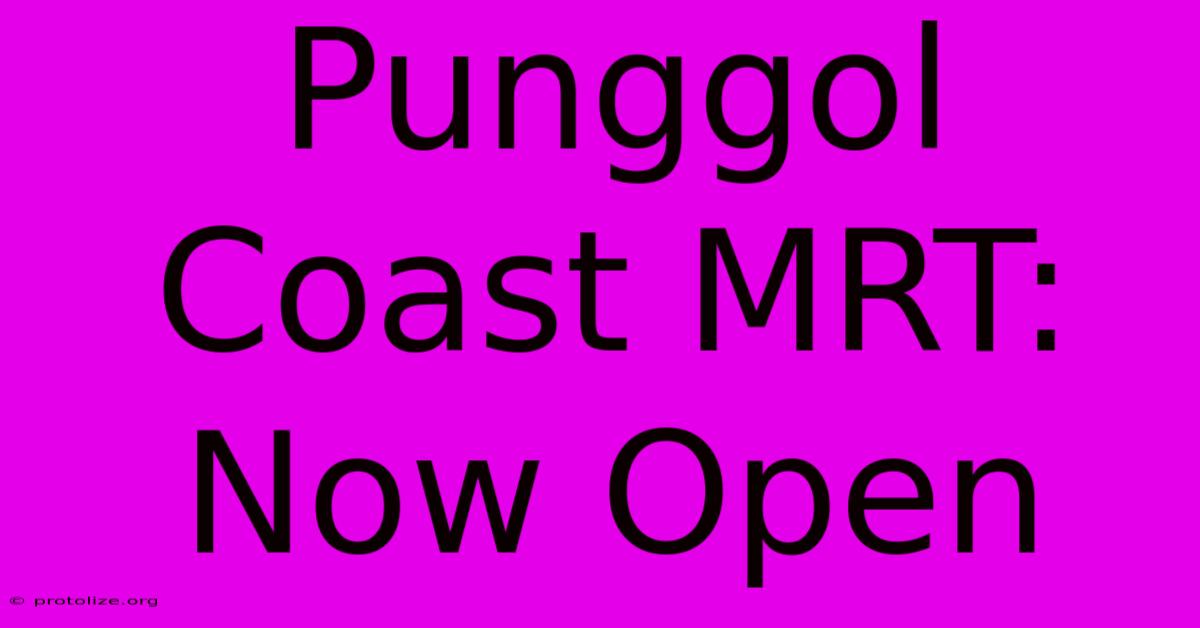 Punggol Coast MRT: Now Open