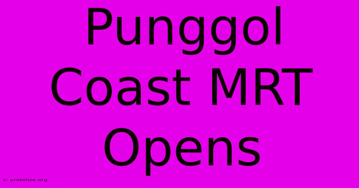 Punggol Coast MRT Opens