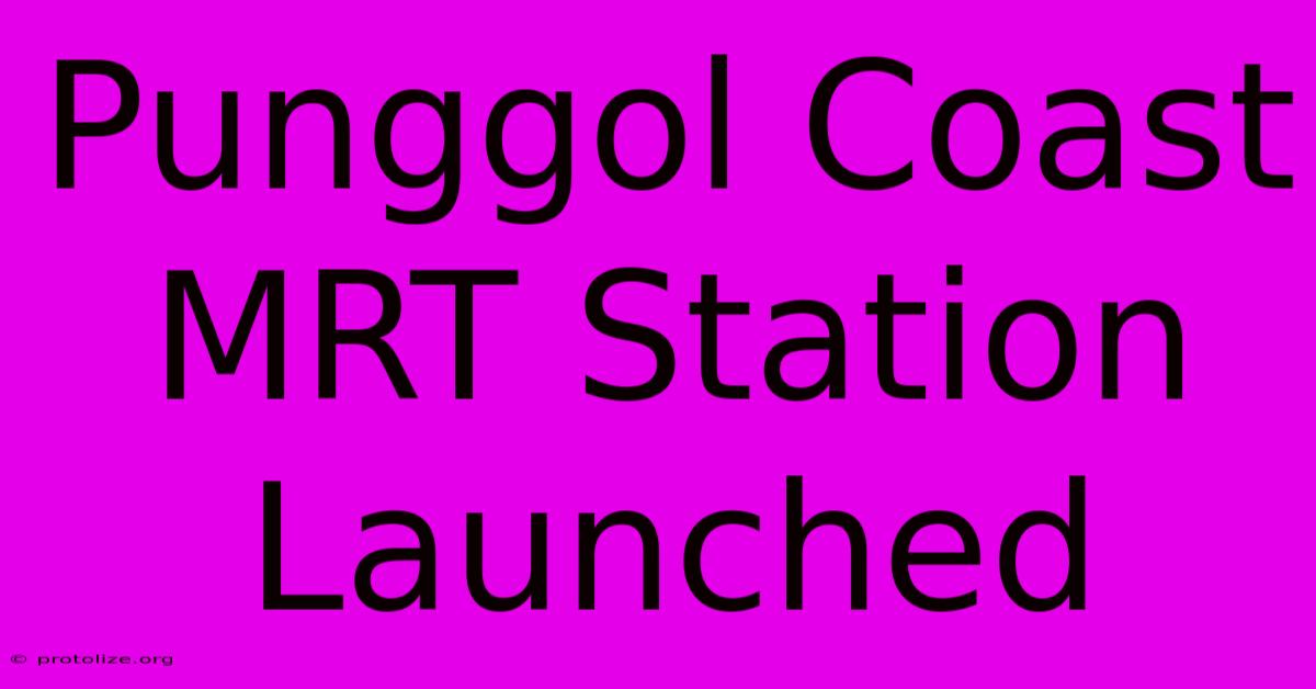 Punggol Coast MRT Station Launched